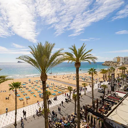 Wg2 * Benidorm